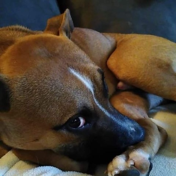 Meet your Posher, Craig - Picture 1 of 1